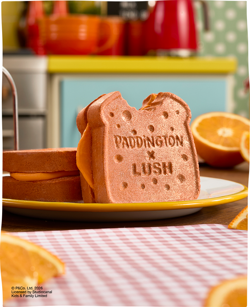패딩턴 제품 이미지
