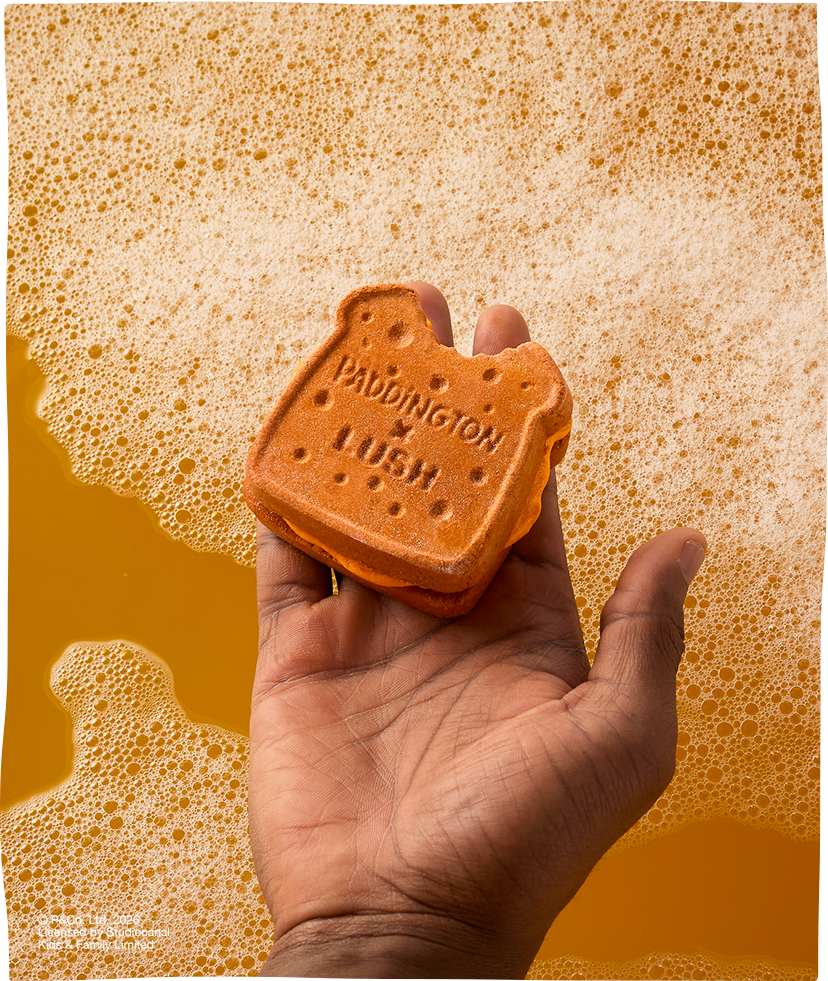 패딩턴 제품 이미지