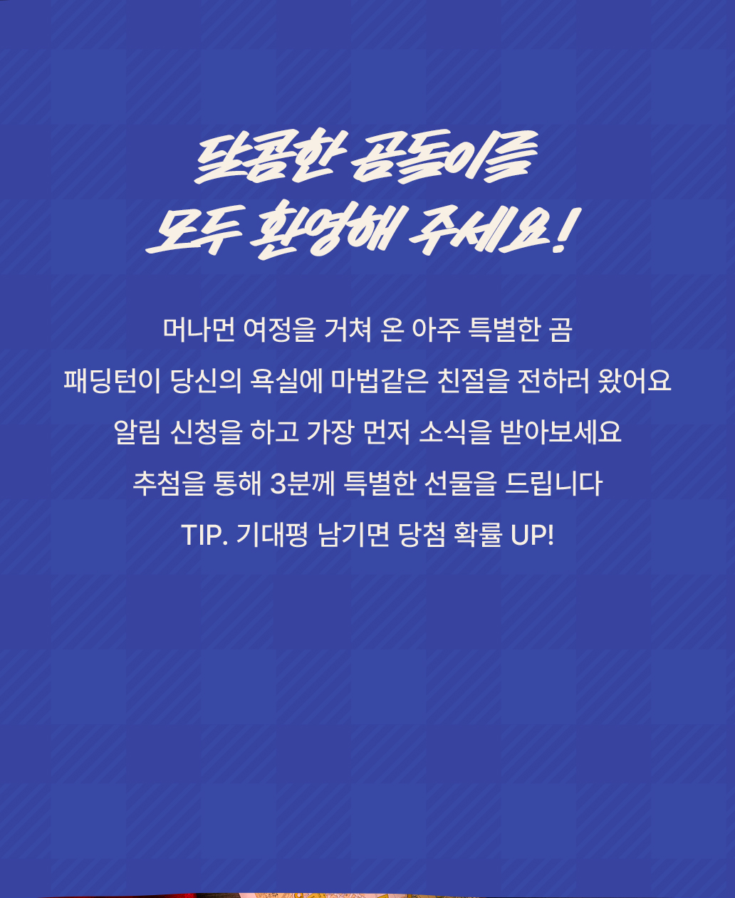 달콤한 곰돌이를 모두 환영해 주세요!