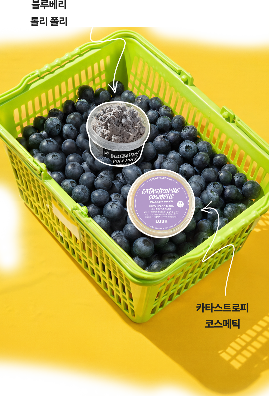 슈퍼푸드 블루베리