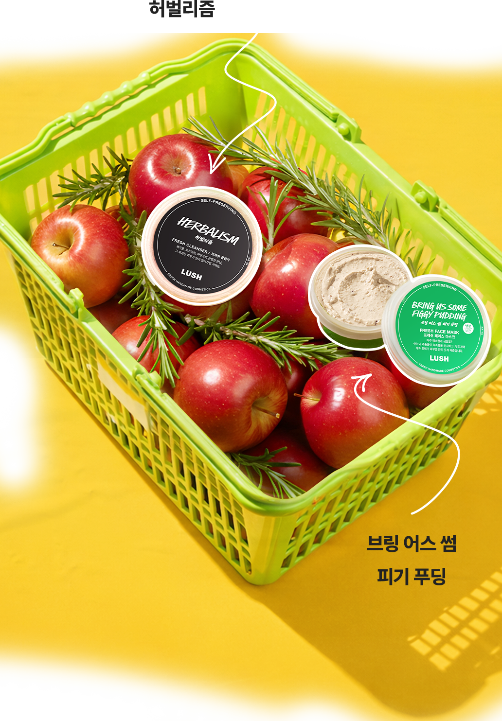 산뜻한 식물의 에너지