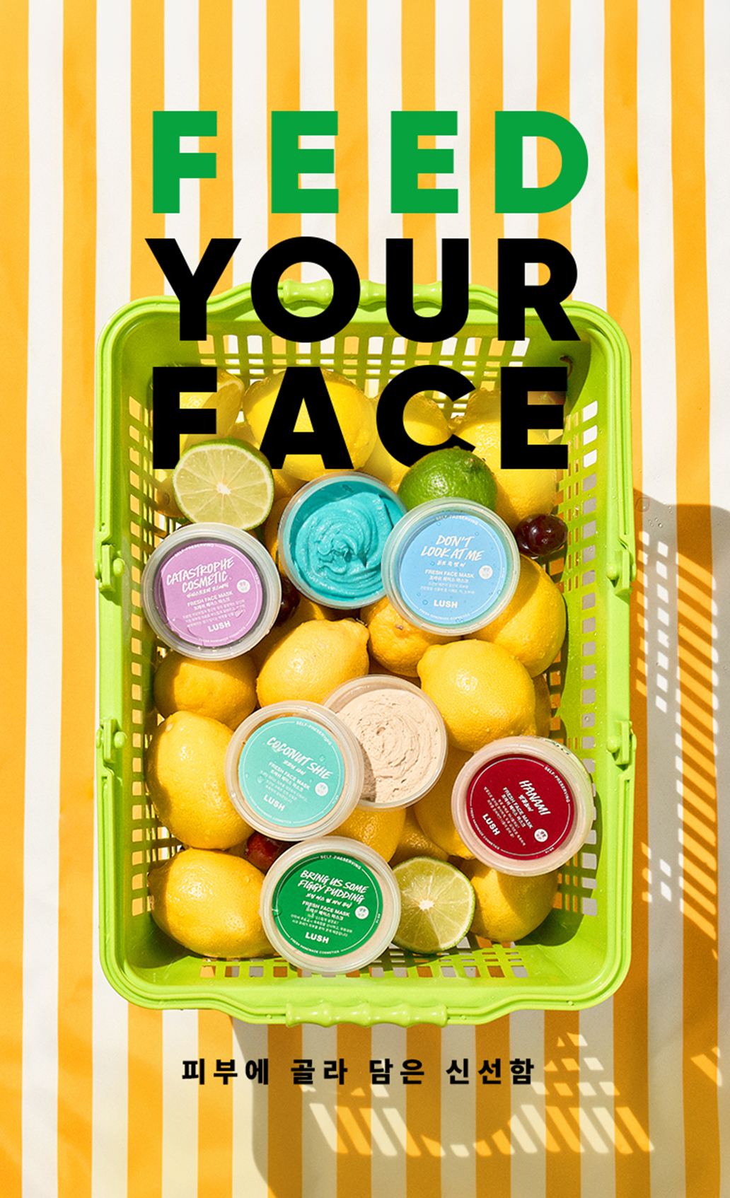 FEED YOUR FACE 피부에 골라 담은 신선함