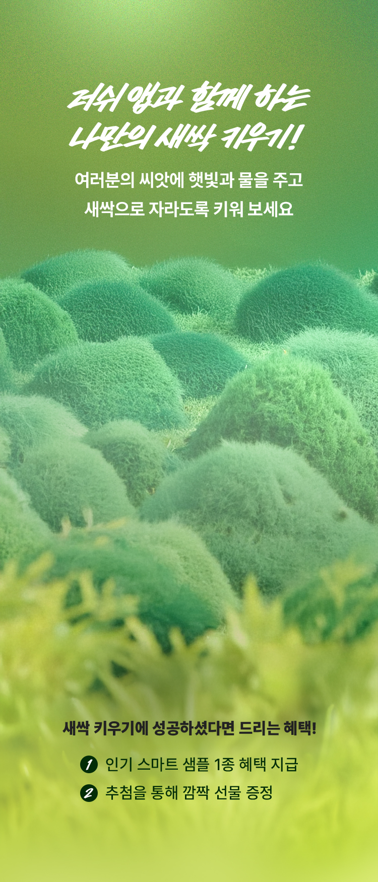 러쉬 앱과 함께 하는 나만의 새싹 키우기! 여러분의 씨앗에 햇빛과 물을 주고 새싹으로 자라도록 키워보세요