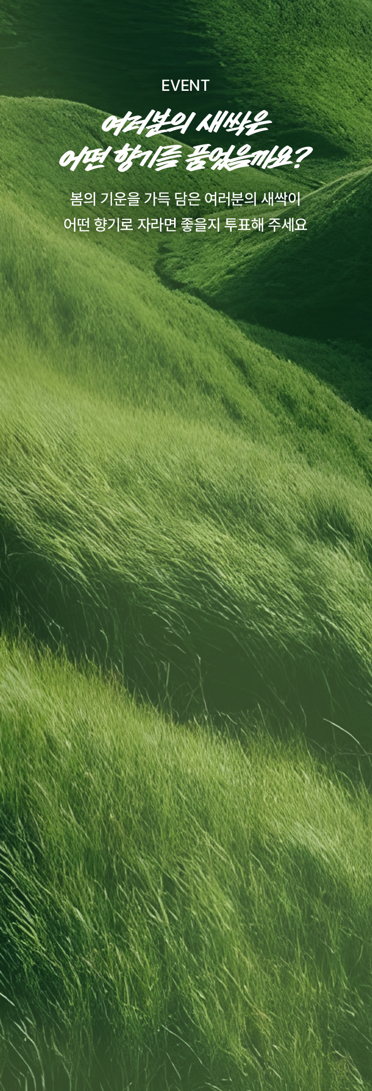 여러분의 새싹은 어떤 향기를 품었을까요? 봄의 기운을 가득 담은 여러분의 새싹이 어떤 향기로 자라면 좋을지 투표해 주세요