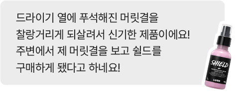 쉴드 리뷰 예시