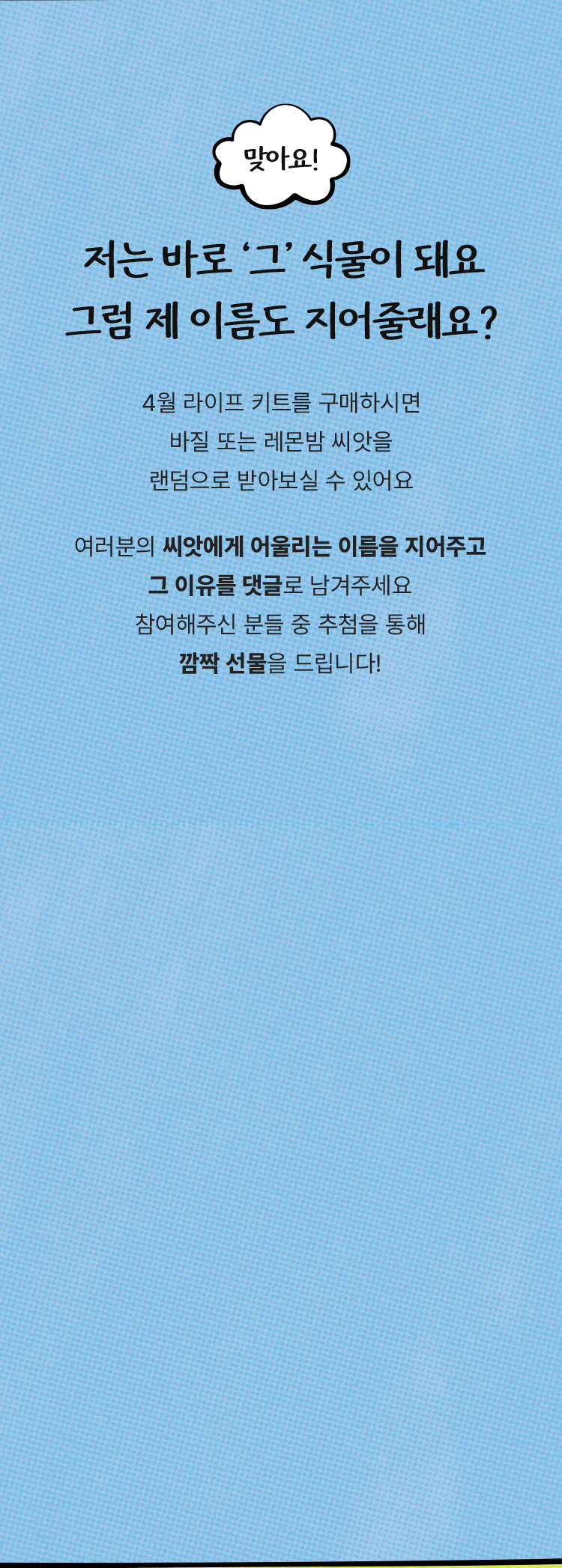 여러분의 씨앗에게 어울리는 이름을 지어주고 그 이유를 댓글로 남겨주세요 참여해주신 분들 중 추첨을 통해 깜짝 선물을 드립니다! 