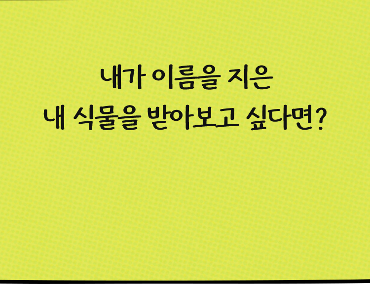 내가 이름을 지은 내 식물을 받아보고 싶다면?