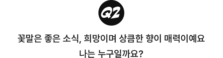 2.꽃말은 좋은 소식, 희망이며 상큼한 향이 매력이에요. 나는 누구일까요?