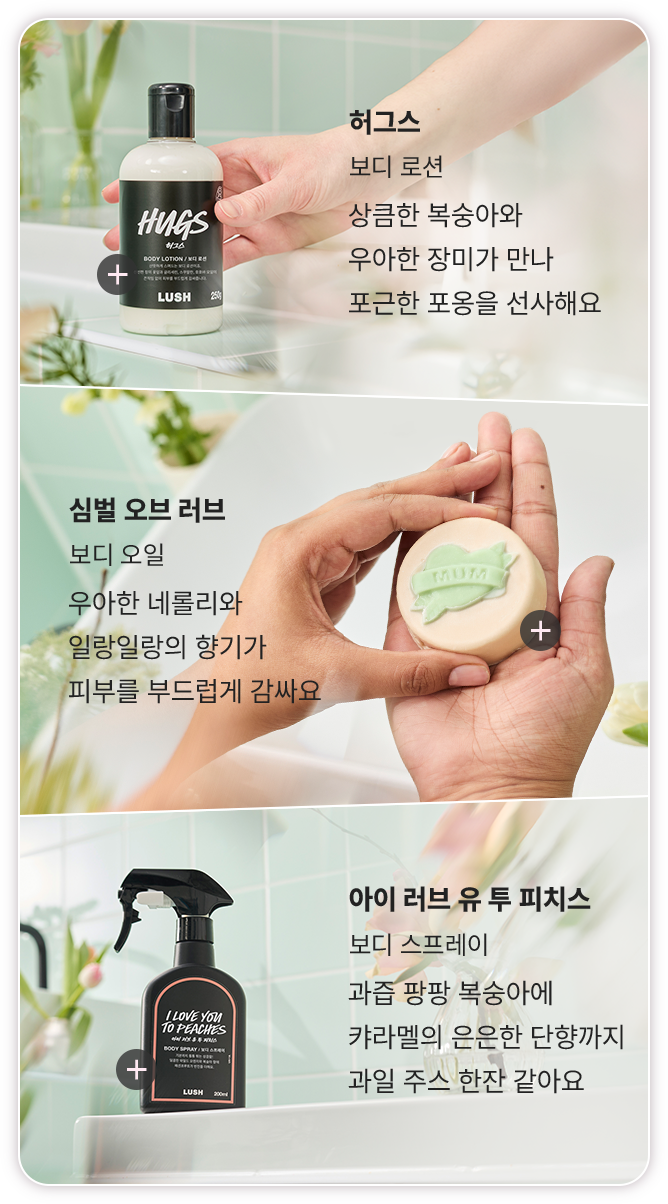 보디 제품 이미지