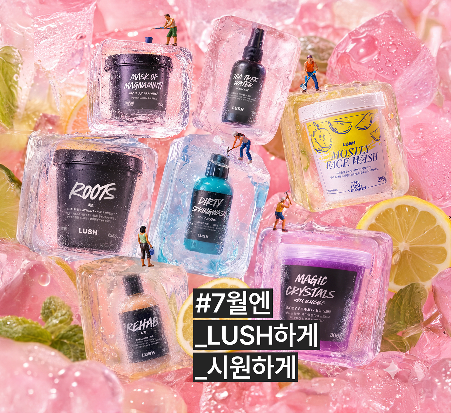 7월엔 LUSH하게 시원하게