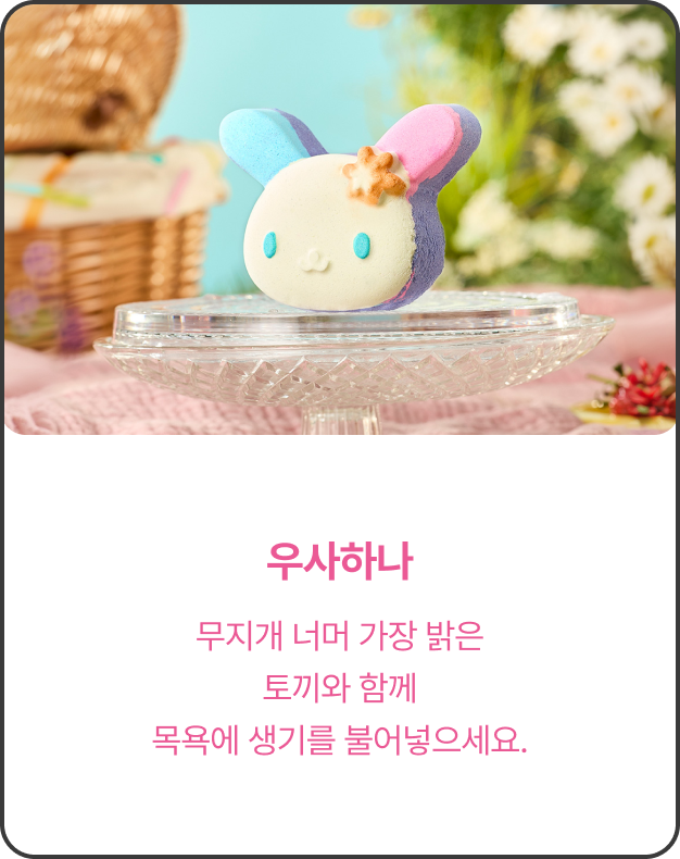 제품 이미지