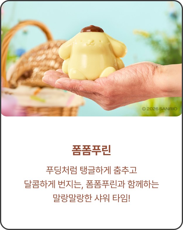 제품 이미지