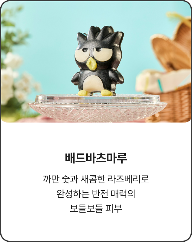 제품 이미지