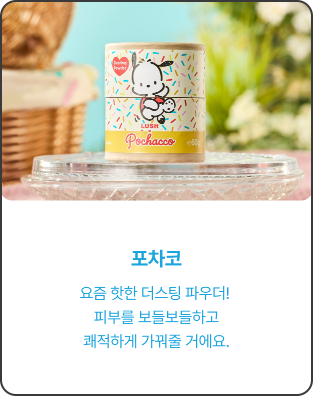 제품 이미지