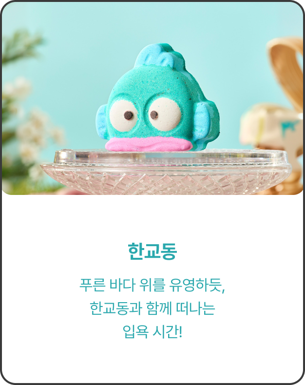 제품 이미지