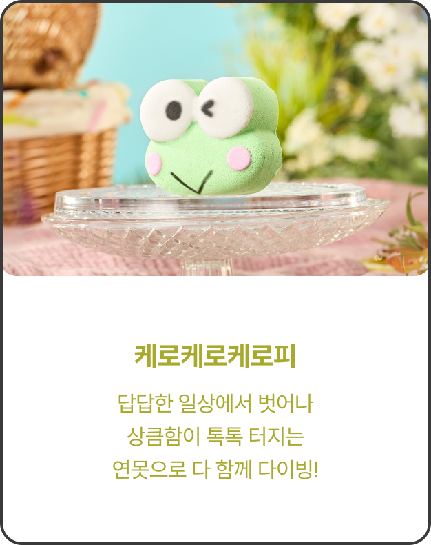 제품 이미지