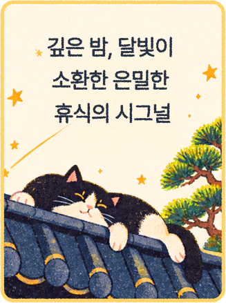 깊은 밤, 달빛이 소환한 은밀한 휴식의 시그널