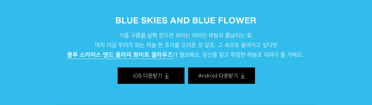BLUE SKIES AND BLUE FLOWER