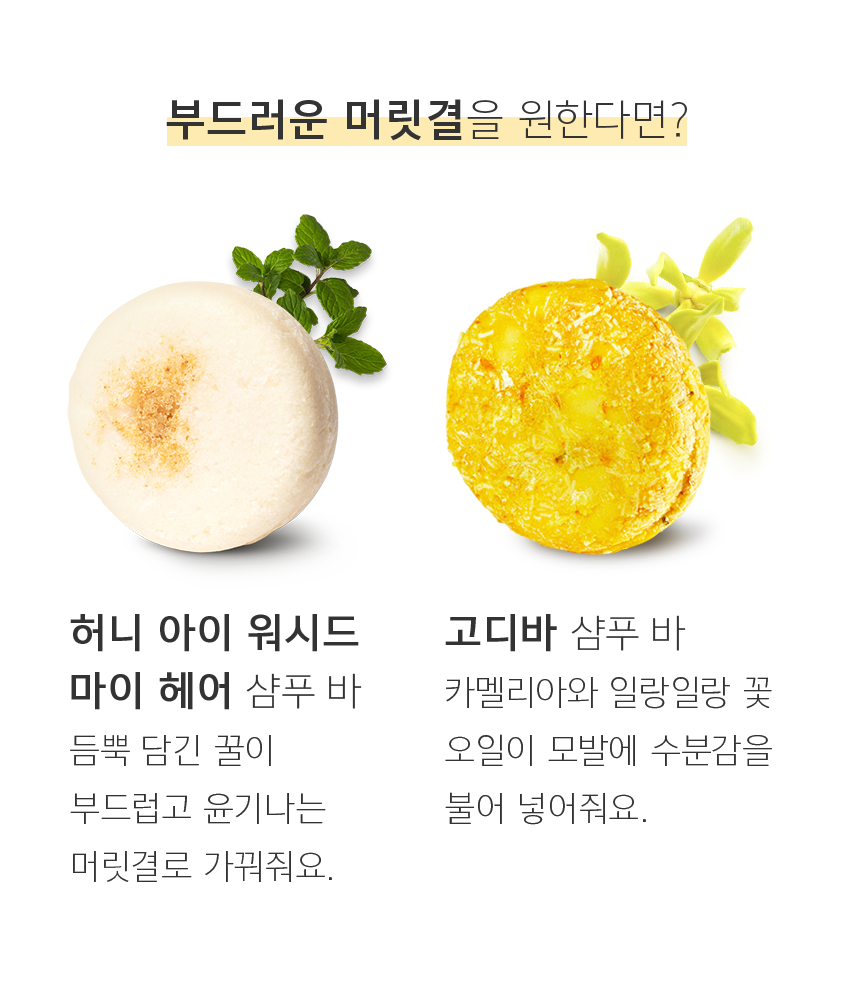 부드러운 머릿결을 원한다면? 허니 아이 워시드 마이 헤어 샴푸 바 듬뿍 담긴 꿀이 부드럽고 윤기나는 머릿결로 가꿔줘요. 고디바 샴푸 바 카멜리아와 일랑일랑 꽃 오일이 모발에 수분감을 불어 넣어줘요.