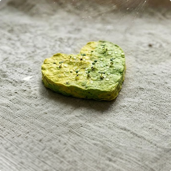 러쉬 라이프 배너