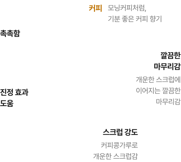 페이스 마스크 설명