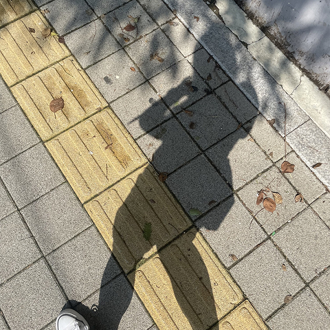 오늘 소개해 드릴 ‘선인장’님의 집