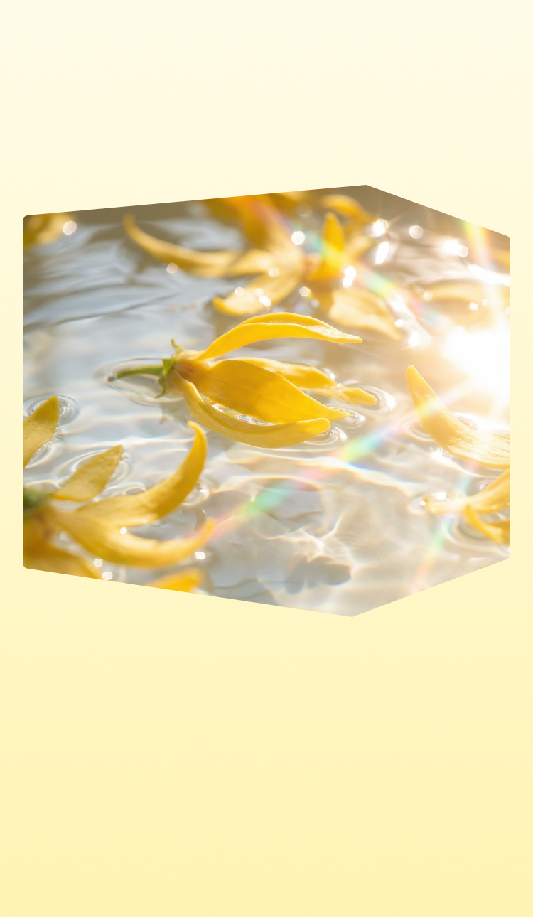 시크릿 박스 스토리