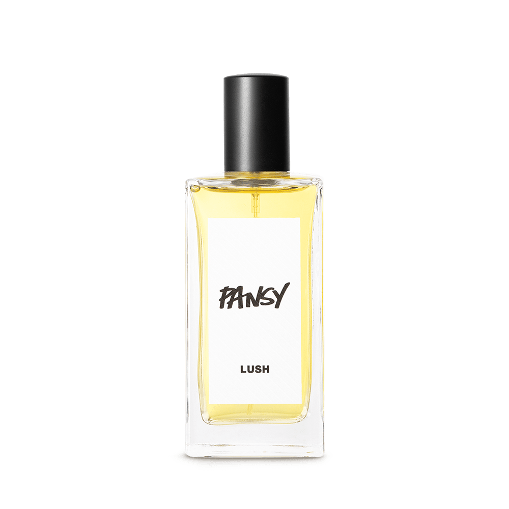 팬지 100ml_1