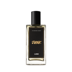 정크 100ml