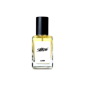 쉐이드 30ml