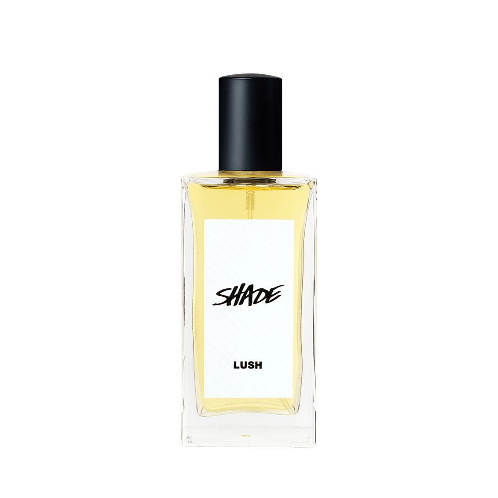 쉐이드 100ml_1