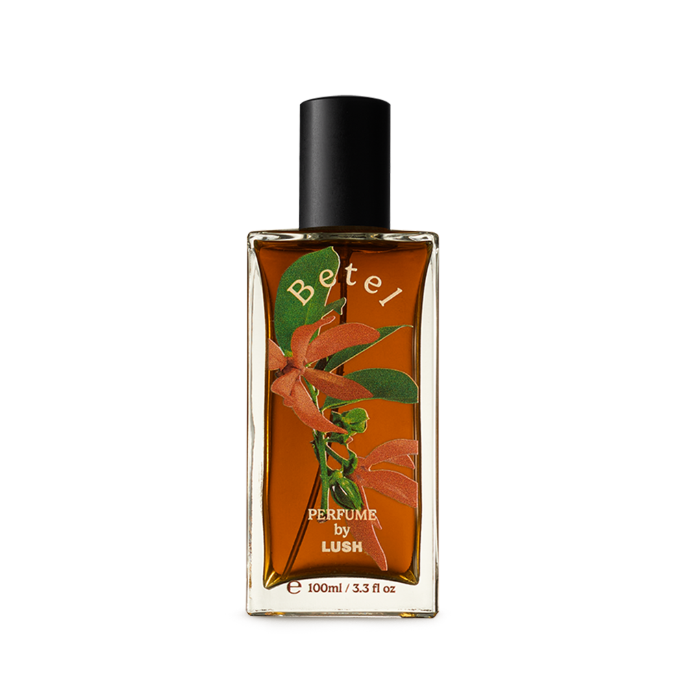 비틀 100ml_1