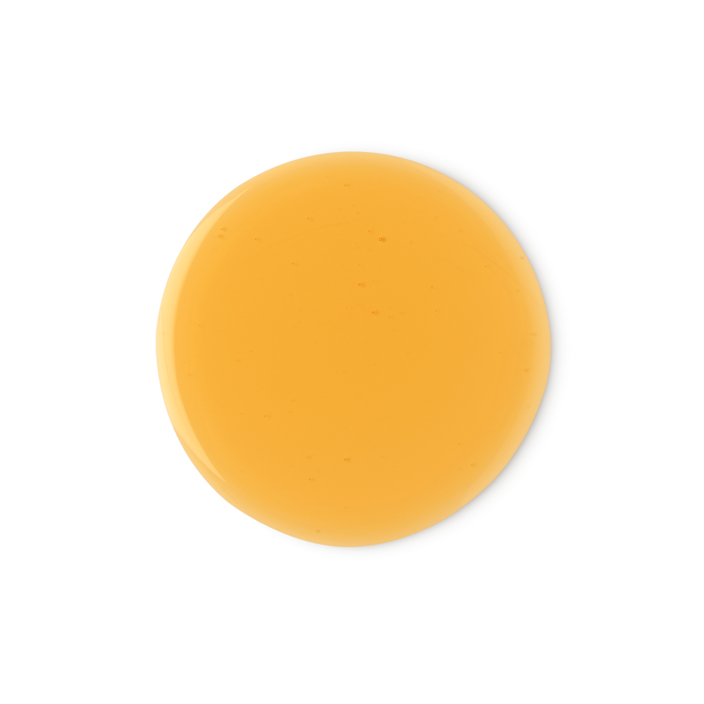 신시아 실비아 스타우트_2