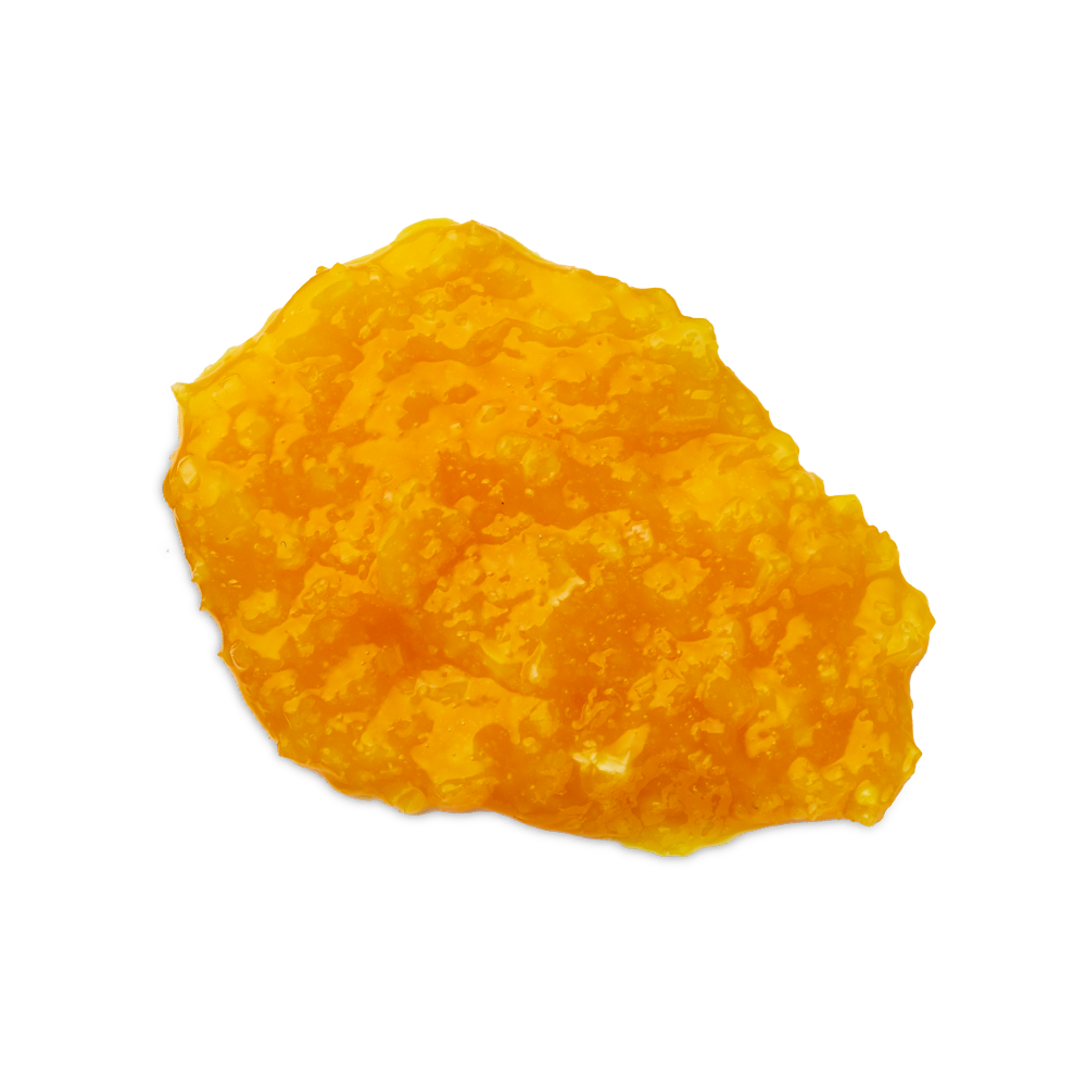 진저_2