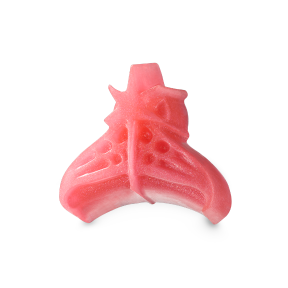 [FS]화려한 왕관