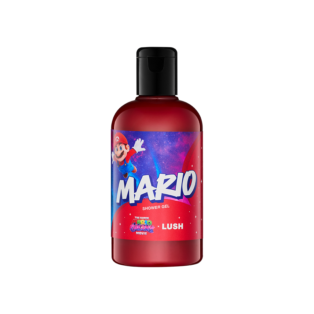 마리오_2