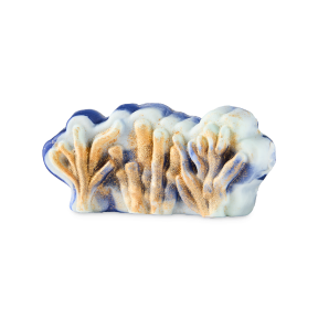 코랄