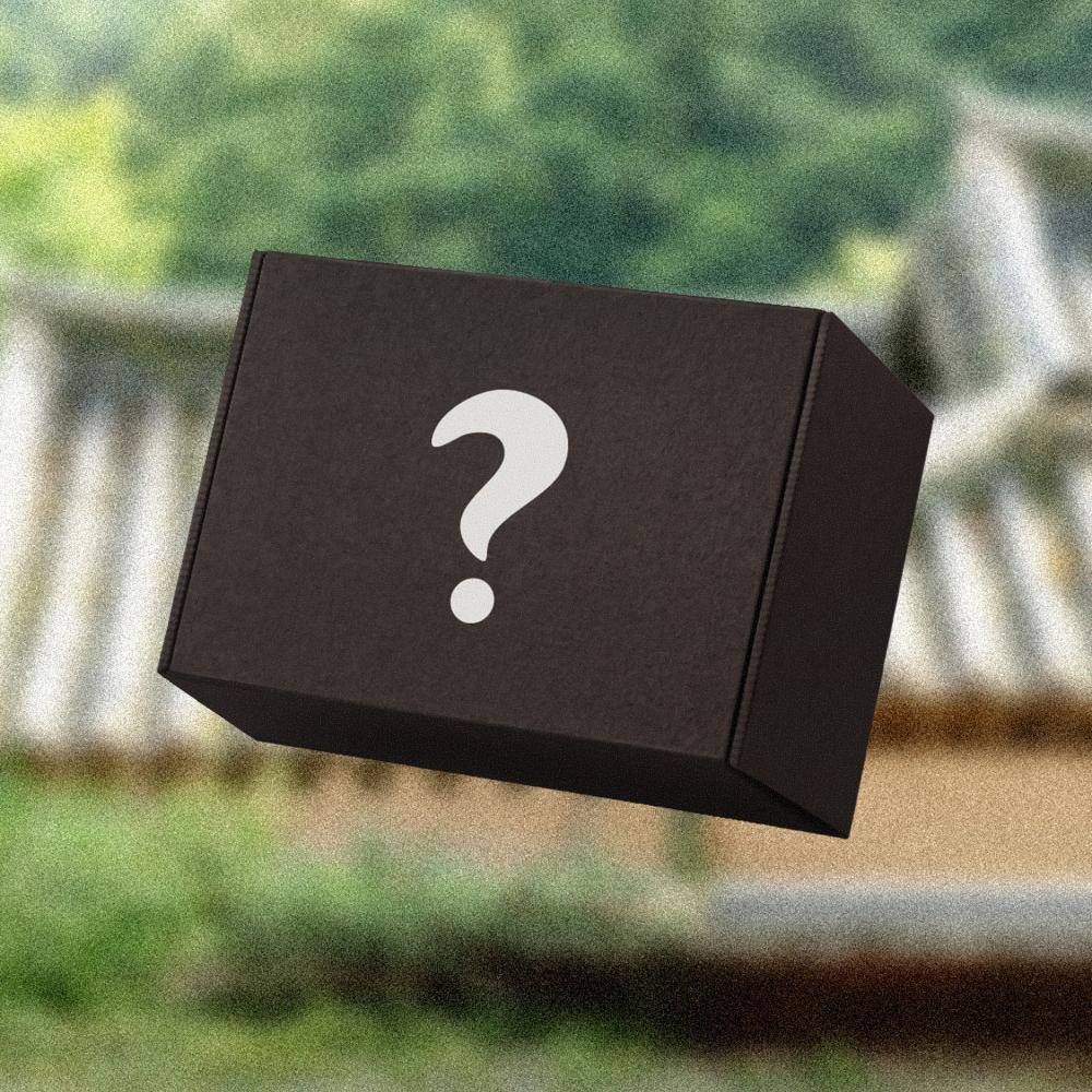 가볍게, 비건 : 나는 절로