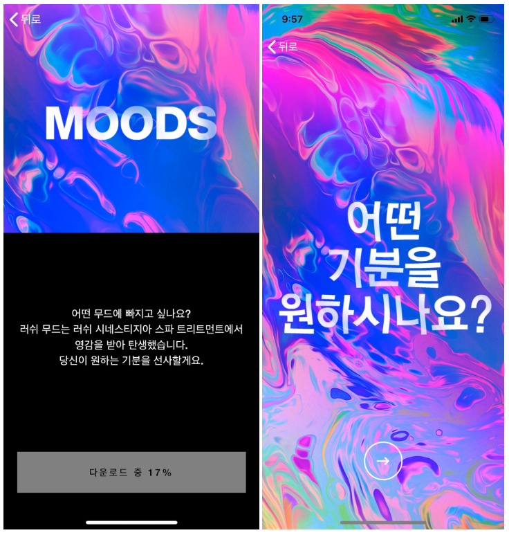 jeallush_2_171822.png