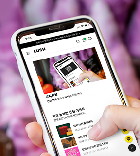 공지사항